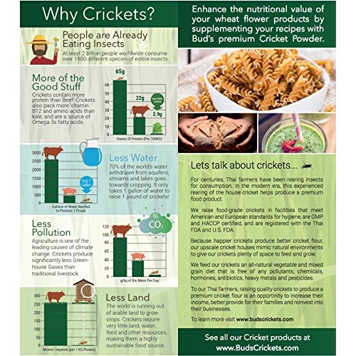 High Protein Premium Cricket Powder Flour 1/4 Lb