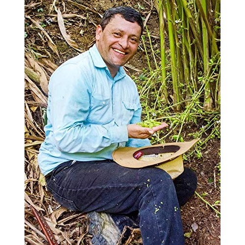 Ground Black Lime – 1.8 Ounce Glass Jar – Savory And Tart Single