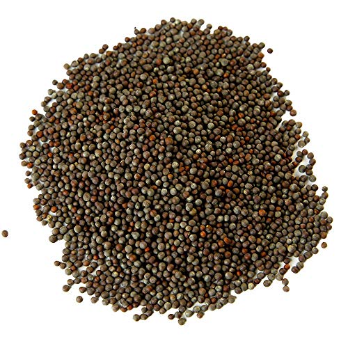 Brown Mustard Seed, Whole | Indian Mustard | Sharp Heat Flavor 9Oz.