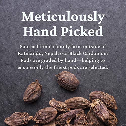Burma Spice Black Cardamom Pods, Whole Dried Cardamom Pods, Spic