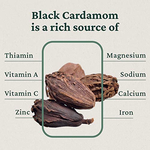 Burma Spice Black Cardamom Pods, Whole Dried Cardamom Pods, Spic