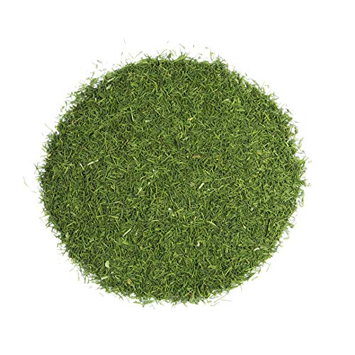 Dill Weed | Great For Pickling | Vibrant Green Color And Extreme