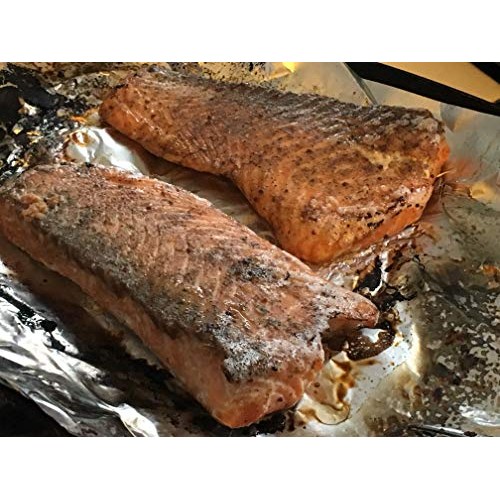 Burnt Sacrifice Northwest Salmon Gourmet Bbq Spice Rub Seasoning