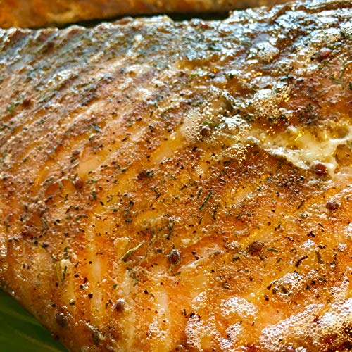 Burnt Sacrifice Gourmet Bbq Spice Rub - Northwest Salmon Style -