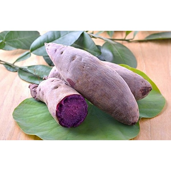 Ube Purple Yam Flavoring Extract By Butterfly 1 Oz.