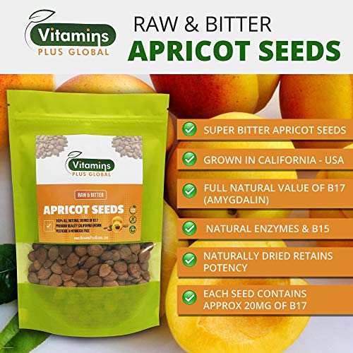 Bitter Apricot Seeds / Kernels, Natural Source Of Vitamin B17, L