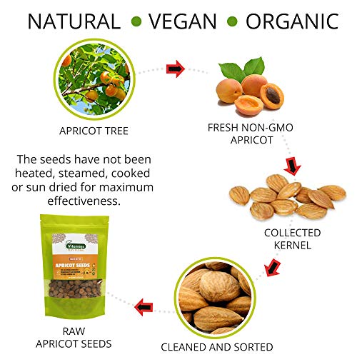 Bitter Apricot Seeds / Kernels, Natural Source Of Vitamin B17, L