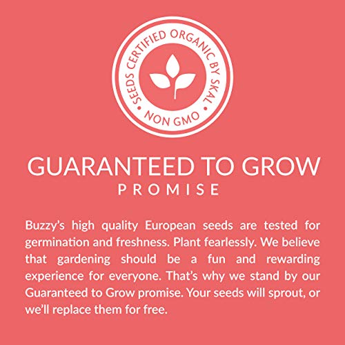 BUZZY Organic Non-GMO Herb Seed Packs, 8-Pack for Indoor, Outdoo...