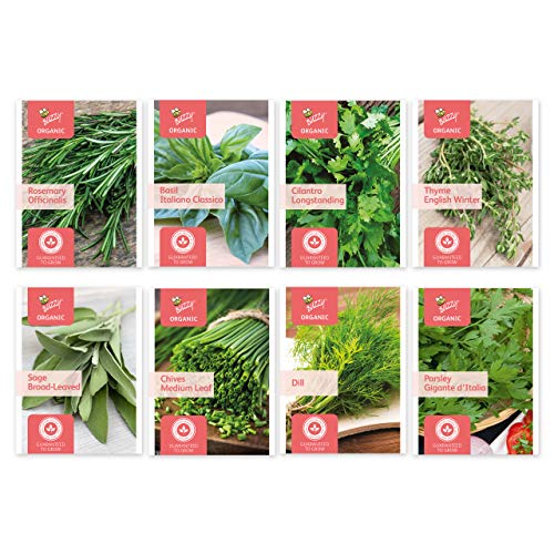 BUZZY Organic Non-GMO Herb Seed Packs, 8-Pack for Indoor, Outdoo...