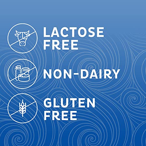 Coffee Mate French Vanilla Powdered Creamer, 15 Oz Pack Of 3 W