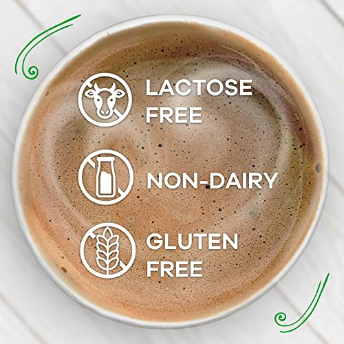 Coffee Mate French Vanilla Sugar Free Powdered Creamer, 10.2 Oz