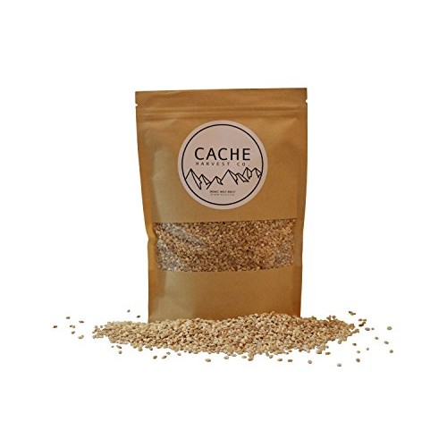 Non-Gmo Organic Hulled Barley | 100% Organic | The World’S Fines