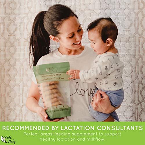 Lactation Cookies — Oatmeal Chocolate Chip By Cafe Baby. Lactati