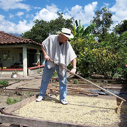 2Lb Don Pablo Signature Blend - Medium-Dark Roast - Whole Bean C