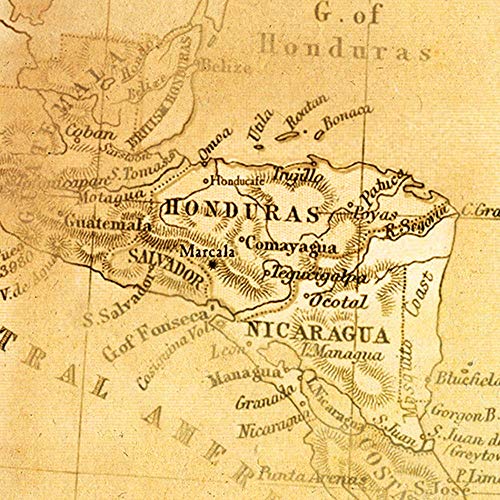 2Lb Subtle Earth Organic Decaf - Swiss Water Process Decaf - Med