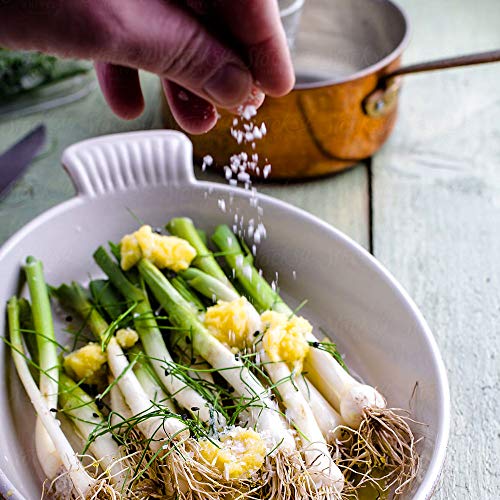 Mediterranean Sea Salt, Coarse Grain 1 Lb.