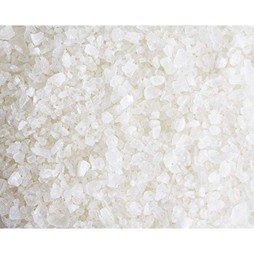 Champagne Bottle Cupcake Topper Kit - 24 2 1/4 Mini Champagne