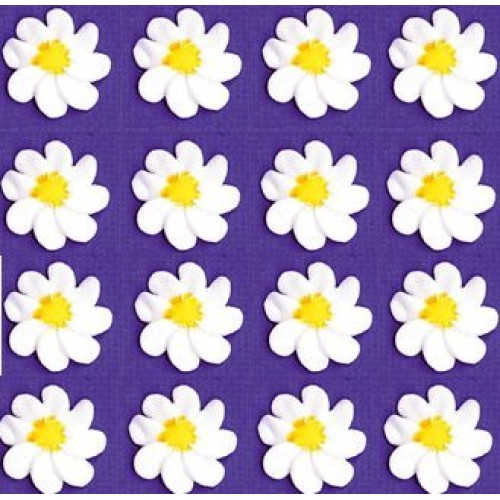 24Pk Elegant White Daisy Blossoms Wedding / Special Occasion Cak