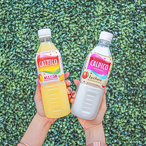 Calpico Lychee Non-Carbonated Soft Drink, Yogurt-Like Beverage M