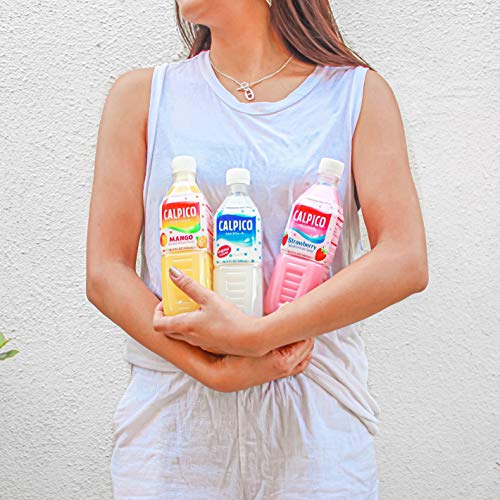 Calpico Original 16.9 Fl Oz. Pack Of 6, Non-Carbonated Soft Dr