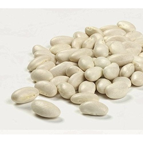 Camellia Brand Great Northern Beans Dry Beans 1 Pound