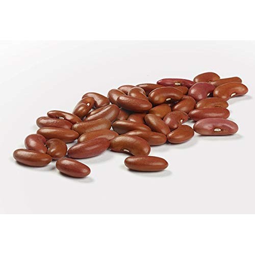 Camellia Red Kidney Beans, 2 Pound Bag