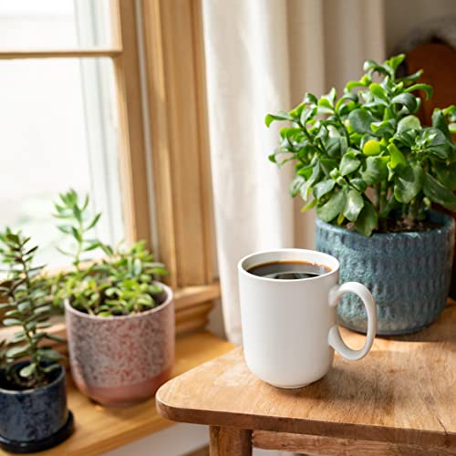 Camerons Coffee Roasted Ground Coffee Bag, Flavored, Chocolate