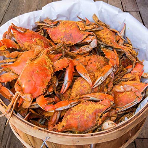 Camerons Seafood Maryland Blue Crabs Males Jimmys Steamed 1 Do