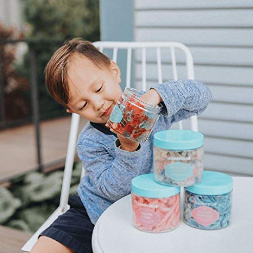 Candy Club, Blue Razz Sour Belts, Fruit Gummy Candies - 8Oz