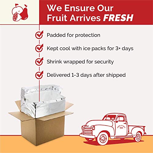 Gourmet Fruit Basket, 15 Lbs Mixed Fruit Pack With Farm Produc