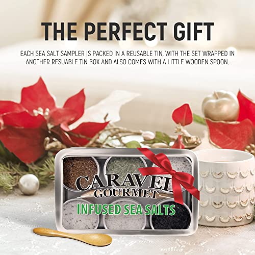 The Infused Sea Salt Sampler - 6 Reusable Tins With Bamboo Spoon