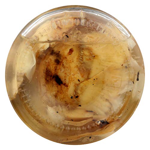 Castellino, Artichoke Grilled Halves, 6.5 Ounce