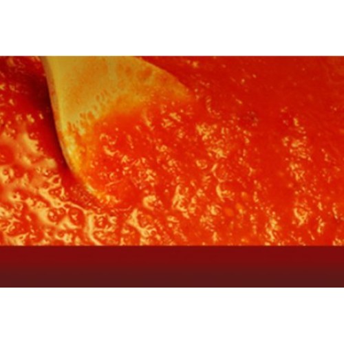 Castillo De Pinar Tomato Garlic Onion Extra Virgin Olive Oil Sau