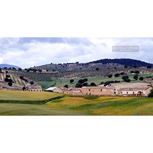 Castillo De Pinar Tomato Garlic Onion Extra Virgin Olive Oil Sau