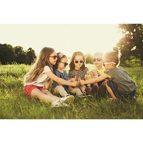 Lollipops - 5Lbs Of Assorted Flavors Of Mixed Fruit Suckers - Bu