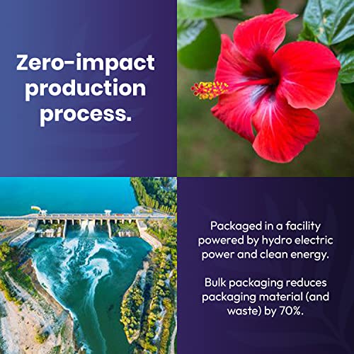 Organic Hibiscus Tea -100 Tea Bags | Organic Herbal Tea From Sin...