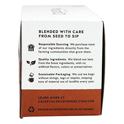 Celestial Seasonings Bengal Spice Herb Tea, 20 Ct Pack Of 2