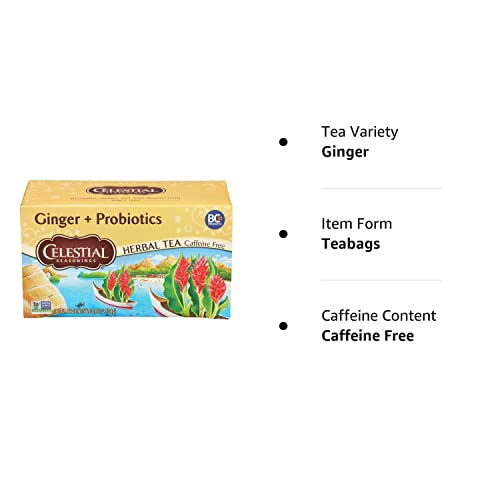 Celestial Seasonings Ginger & Probiotics Herbal Tea, 20 CT