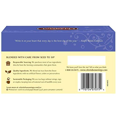 Celestial Seasonings Herb Tea True Blueberry 20 Bag Pack Of 2