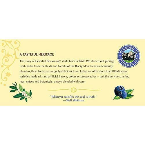 Celestial Seasonings Herb Tea True Blueberry 20 Bag Pack Of 2
