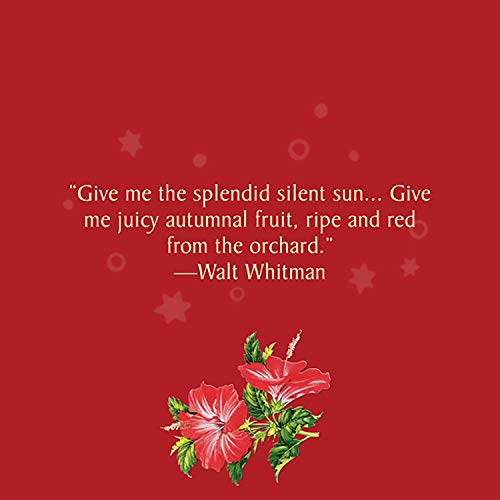 Celestial Seasonings Herbal Tea, Red Zinger, 20 Count Pack Of 6