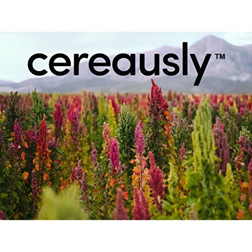 Cereausly Organic White Quinoa In Bulk | 10 Lb | Restaurants | W