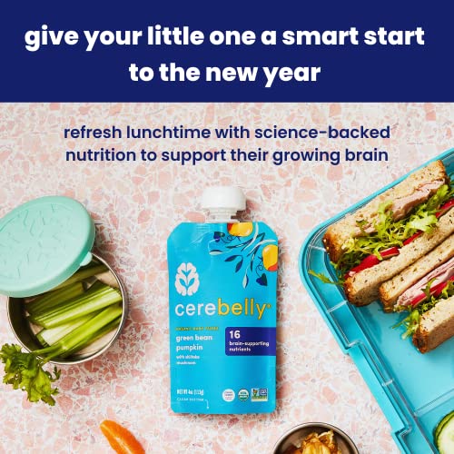 Cerebelly Organic Baby Food Pouches Beet Carrot Blueberry 4 Oun...