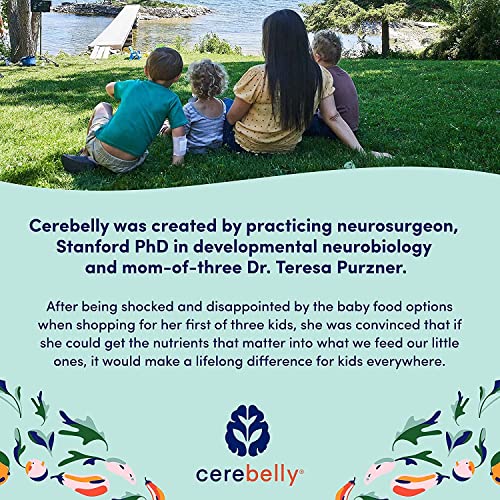 Cerebelly Organic Baby Food Pouches Beet Carrot Blueberry 4 Oun...