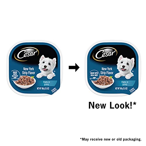 Cesar Soft Wet Dog Food Filets In Gravy New York Strip Flavor,