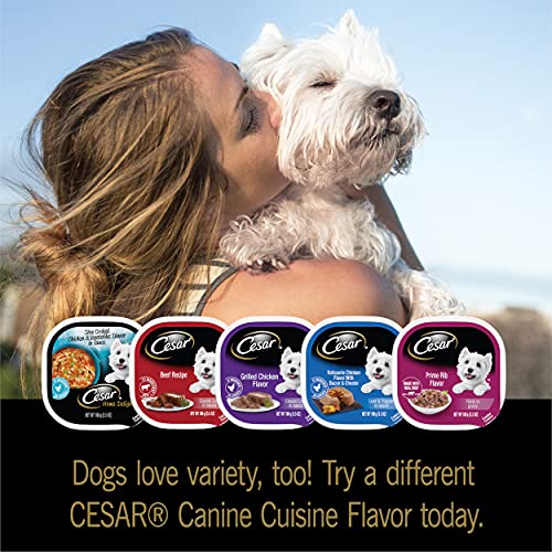 Cesar Soft Wet Dog Food Filets In Gravy New York Strip Flavor,