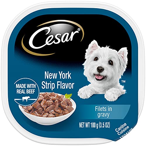 Cesar Soft Wet Dog Food Filets In Gravy New York Strip Flavor,