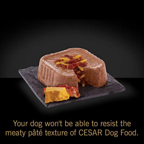 Cesar Soft Wet Dog Food Classic Loaf In Sauce Oven Roasted Chick