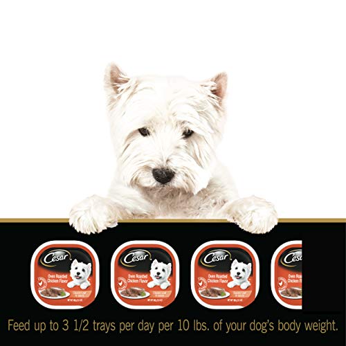 Cesar Soft Wet Dog Food Classic Loaf In Sauce Oven Roasted Chick