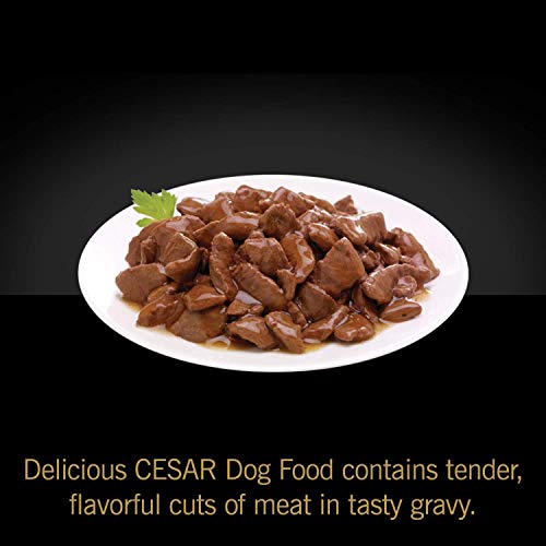 Cesar Soft Wet Dog Food Filets In Gravy Filet Mignon &Amp; New York